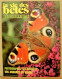 239/ LA VIE DES BETES / BETES ET NATURE N° 239 Du 6/1978 Voir Sommaire - Tierwelt