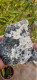 Aragonite Aghiforme In Ciuffi 14x12  Cm Colli Piacentini Monte Tre Abati Coli Piacenza Emilia Romagna Italia  C - Minerals