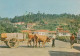 S. SÃO PEDRO DO SUL - Carro De Bois, Boeufs , Bull, TERMAS - Portugal - Viseu