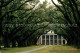 72852916 Vacherie Oak Alley Plantation - Other & Unclassified