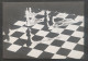 Chess - Ajedrez