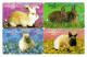 Singapore Old Subway Train Bus Ticket Farecard Transitlink Used Rabbits Bunny (4 Cards) - Welt