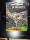 Delcampe - Dictionnaire Des Communes De Belgique D'histoire Et De Géographie Administrative Hasquin, Van Uyten Et Duvosquel 1980 - Dictionnaires