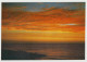 Australia VICTORIA VIC Golden Sunset Rose Series No.683 Postcard C1970s - Sonstige & Ohne Zuordnung