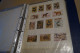 Delcampe - RARE,ALBUM DE BOITES D'ALLUMETTES COLLECTION DE 478 ETIQUETTES - Matchbox Labels