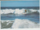 Australia VICTORIA VIC Surf Board Riding Rose Series Colorview No.1520 Postcard C1970s - Andere & Zonder Classificatie