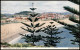 Postcard Coolangatta Queensland Strand, Stadt - South Coast 1956 - Autres & Non Classés