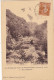 81. PAMPELONNE. CPA. LES GORGES DU VIAUR  DE PAMPELONNE A TANAS.  SOUS ROUCAYROLS. ANNEE 1928 + TEXTE - Pampelonne