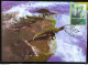 Brazil Maximo Postcard Prehistoric Animals Dinosaurs 2014 CBC MT - Cartoline Maximum