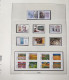 Delcampe - Spain 2000-2004 5 Complete Years MNH In Lindner Album - Años Completos