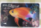 Transitlink Metro Ticket Card, Blue Paradise Longfin Anthias Fish - Singapour