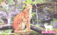 Russia:Used Phonecard, Uraltelekom Sverdlovsk Region, 200 Units, Ural Fauna, Lynx Lynx, 2002 - Russie