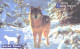 Russia:Used Phonecard, Jekaterinburg International Telefon Station, 150 Units, Ural Fauna, Wolf, Canis Lupus, 2002 - Russia