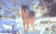 Russia:Used Phonecard, Jekaterinburg International Telefon Station, 70 Units, Ural Fauna, Wolf, Canis Lupus, 2002 - Russia