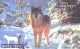 Russia:Used Phonecard, Jekaterinburg International Telefon Station, 200 Units, Ural Fauna, Wolf, Canis Lupus, 2002 - Russia