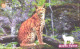 Russia:Used Phonecard, Jekaterinburg International Telefon Station, 100 Units, Ural Fauna, Lynx, Felis Lynx, 2002 - Russie