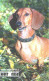 Russia:Used Phonecard, Uralsvjazinform, 100 Units, Dog, Dachshund, 2004 - Russia