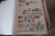 OISEAUX   LOT DE 16 PAGES - Collections, Lots & Series