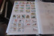 Delcampe - OISEAUX   LOT DE 16 PAGES - Collections, Lots & Series