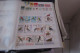 Delcampe - OISEAUX   LOT DE 16 PAGES - Konvolute & Serien