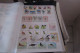 Delcampe - OISEAUX   LOT DE 16 PAGES - Collections, Lots & Series