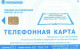 Russia:Used Phonecard, OAO Bashinformsvjaz, 60 Units, Lizard, 2007 - Russia