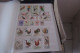 OISEAUX   LOT DE 12 PAGES - Colecciones & Series