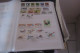 Delcampe - OISEAUX   LOT DE 12 PAGES - Colecciones & Series