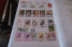 Delcampe - OISEAUX   LOT DE 12 PAGES - Collections, Lots & Series