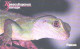 Russia:Used Phonecard, OAO Sibirtelekom, 200 Bit, Novosibirski Zoo, Lizard - Russia