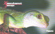 Russia:Used Phonecard, OAO Sibirtelekom, 200 Bit, Novosibirski Zoo, Lizard, Different Color - Russia