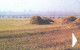 Belarus:Used Phonecard, Beltelekam, 30 Units, Hay Field, 2006 - Belarus