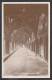 110821/ CANTERBURY, Cathedral, North Alley Of The Cloisters, R. Tuck & Sons, *Real Photograph* Postcard, Series 5 - Canterbury