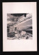 FTG004- E.U.A. (ARIZONA) 1939 _ REPRODUÇÃO DE FOTOGRAFIA De IMOGEN CUNNINGHAM_ Dim.= 21 X 14,5 Cm - America