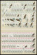 ENGROS 754-57 , 1973, Vögel, 120 Postfrische Sätze, Fast Nur Pracht, Mi. 960.- - Autres & Non Classés