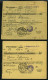 LETTLAND 121 BRIEF, 1929/30, 2 S. Lilarosa, 2 Frankierte Geldanweisungen Aus Amerika (verschiedene Typen), Pracht - Letonia