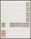 TUNESIEN , , 1906-45, Interessante Partie Mit Einigen Mittleren Ausgaben Und Vielen Blockstücken, Meist Postfrisch, Fast - Tunesien (1956-...)