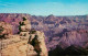 72824048 Arizona_US-State Duck On The Rock Grand Canyon National Park - Autres & Non Classés