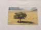 JORDAN-(JO-ALO-0014B)-Wadi Rum-(109)-(1000-526375)-(1JD)-(4/2000)-used Card+1card Prepiad Free - Jordanie