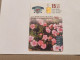 JORDAN-(JO-ALO-0025)-Chrysanthemum Flower-(119)-(1200-144987)-(15JD)-(8/2000)-used Card+1card Prepiad Free - Jordania