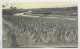 BELGIQUE CARTE LA CULTURE DU LIN + VERSO CACHET ALLEMAND KORTRYK + XV ARMEE KORPS 1915 BELGIEN - Deutsche Armee