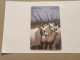 JORDAN-(JO-ALO-0035)-Ostrich & Arabian Oryx-(145)-(1001-364873)-(1JD)-(12/2000)-used Card+1card Prepiad Free - Jordanie