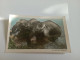 H11/1- Lot De 3 Cartes - Collezioni E Lotti