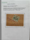 Delcampe - Cover 1872-1987, Collectie Van Ruim 100 Krantenbandjes W.b. Betere Ex. En Drukwerkrolstempels, Keurig Opgezet In Ringban - Sammlungen