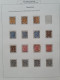 1891-1899, Emissie Hangend Haar, Zwaar Gespecialiseerde Meest Gestempelde Collectie Met O.a. Kleuren, Papiersoorten, (se - Verzamelingen
