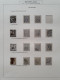 Delcampe - 1891-1899, Emissie Hangend Haar, Zwaar Gespecialiseerde Meest Gestempelde Collectie Met O.a. Kleuren, Papiersoorten, (se - Colecciones Completas
