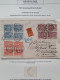 Delcampe - 1907 Gespecialiseerde Collectie Emissie De Ruyter W.b. Grootrondstempels, Plaatfouten En Poststukken, Mooi Opgezet In Kl - Colecciones Completas