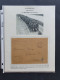 Delcampe - Cover 1940-1945, Veldpost (19 Poststukken) W.b. Enkele Mobilisatiestukken 1940 En 9 Brieven April T/m November 1945 Die  - Collections