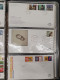 Delcampe - 1945/2009c. Collectie Fdc's Tussen E6 En E599 Inclusief Nederlandse Antillen, Suriname, Luchtpost En Bijzondere Vluchten - Collections