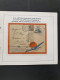 Delcampe - Cover , Airmail 1930-1980 Luchtpoststukken (meer Dan 100 Stukken Tot 1950) W.b. Iets Betere Herkomstlanden (Congo, Colom - Colecciones Completas